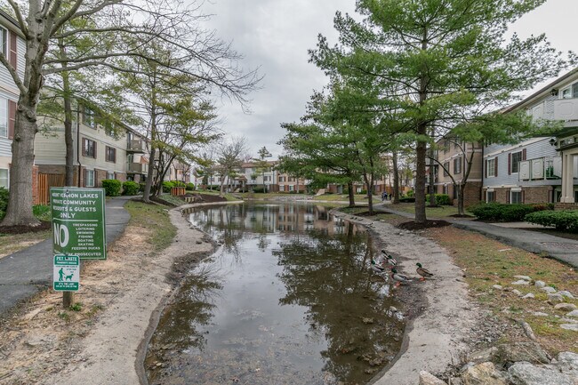 Building Photo - 8386 Brockham Dr