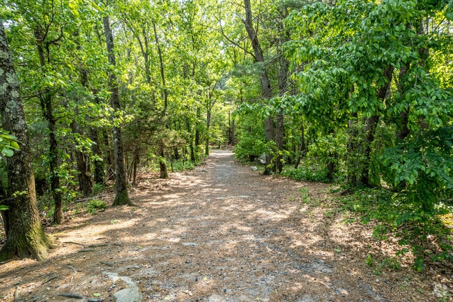 Wilson Mountain Reservation trails in Upper Dedham.