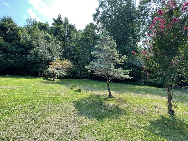 Foto del edificio - COMMUTERS DREAM!  PRIVATE ACREAGE STAFFORD AND MINUTES TO VRE