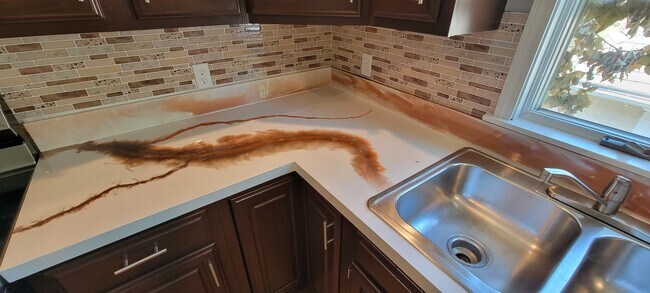 Custom Epoxy Counters - 368 Schenck St