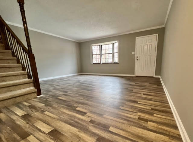 Living Room - 810 Highland Dr