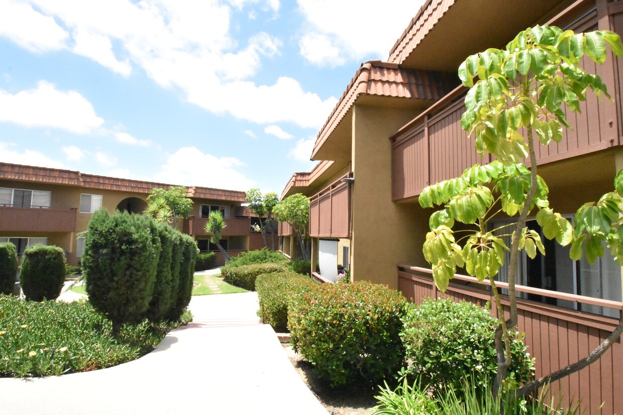 Volterra Apartments 9071 Dallas St La Mesa, CA Apartments for Rent