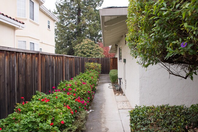 side yardPart of back yard - 20865 Alves Dr
