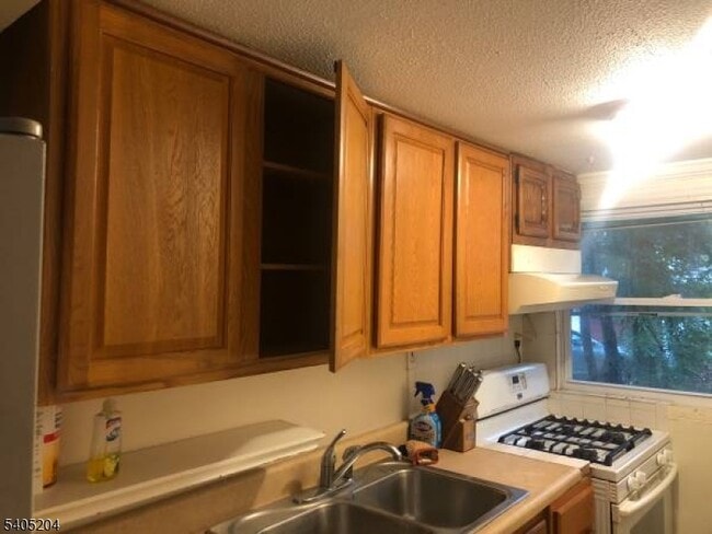 Building Photo - 117 3rd St