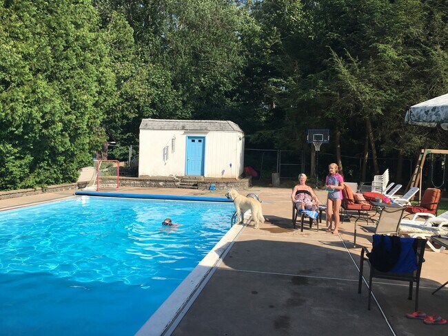 Back Yard Pool - 5 Bradford Rd