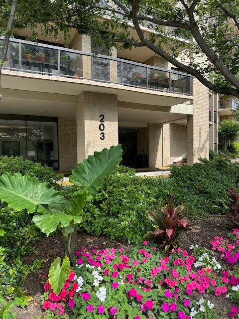 Foto del edificio - 203 Yoakum Pkwy