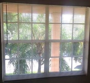 Photo - 33 Salamanca Ave Apartment