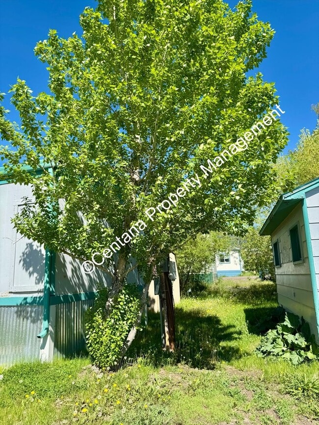 Building Photo - 3 Bedroom 2 Bath Home