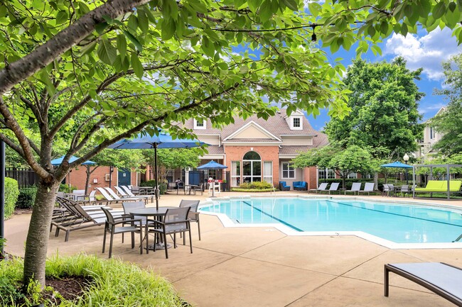 Piscina estilo centro turístico con terraza - Annapolis Bay