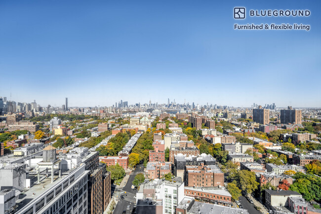 Foto del edificio - 545 Vanderbilt Ave