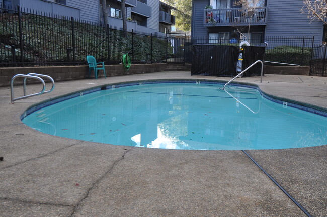 Pool - 3180 Country Club Drive