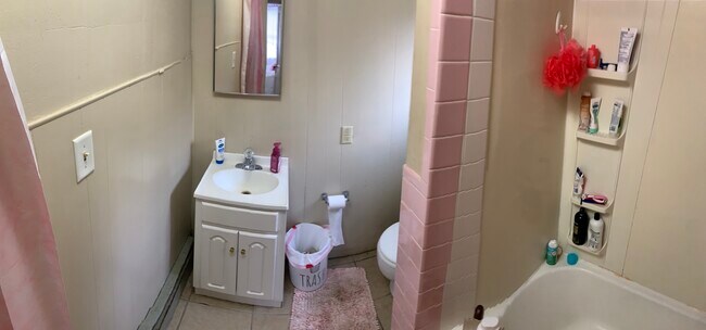 Upstairs Bathroom - 683 Willey St