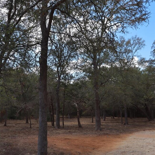 Building Photo - 282 Texas Oak Dr