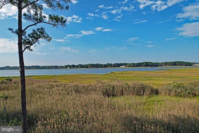 Foto del edificio - 34903 W Love Dr