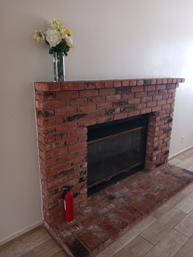 Chimenea de leña - 437 S Sunset St