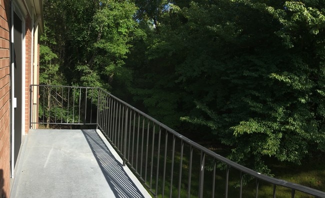 South-facing Balcony has a view of the woods - 10631 Weymouth St