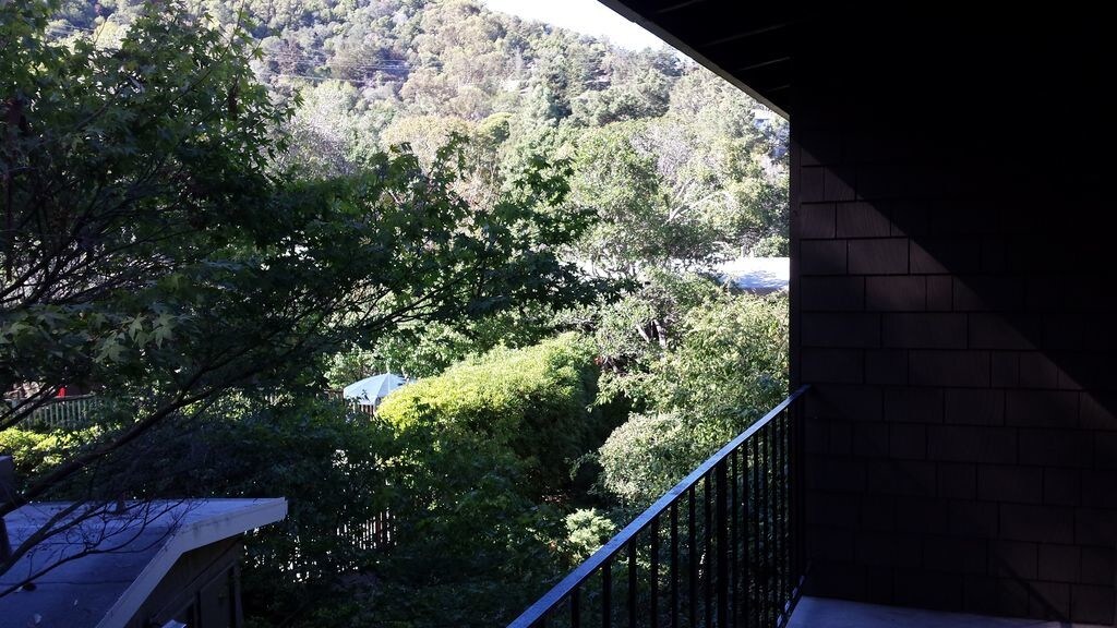 1411 Casa Buena Dr, Corte Madera, CA 94925 Townhome Rentals in Corte