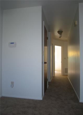 Building Photo - 4207 Birchwood Ct