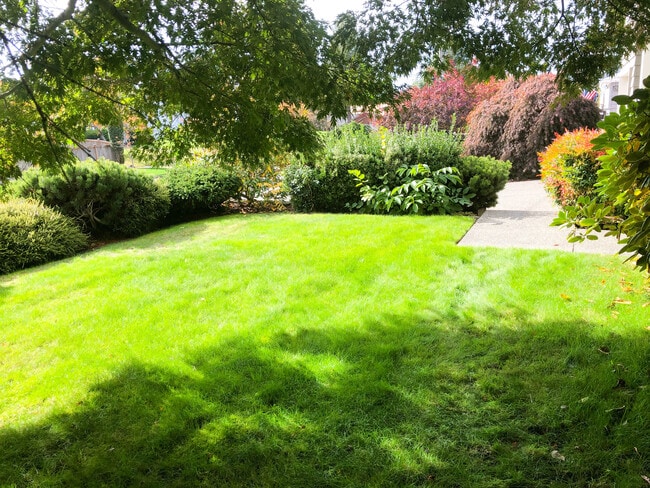 Front Yard - 4905 N 11th St