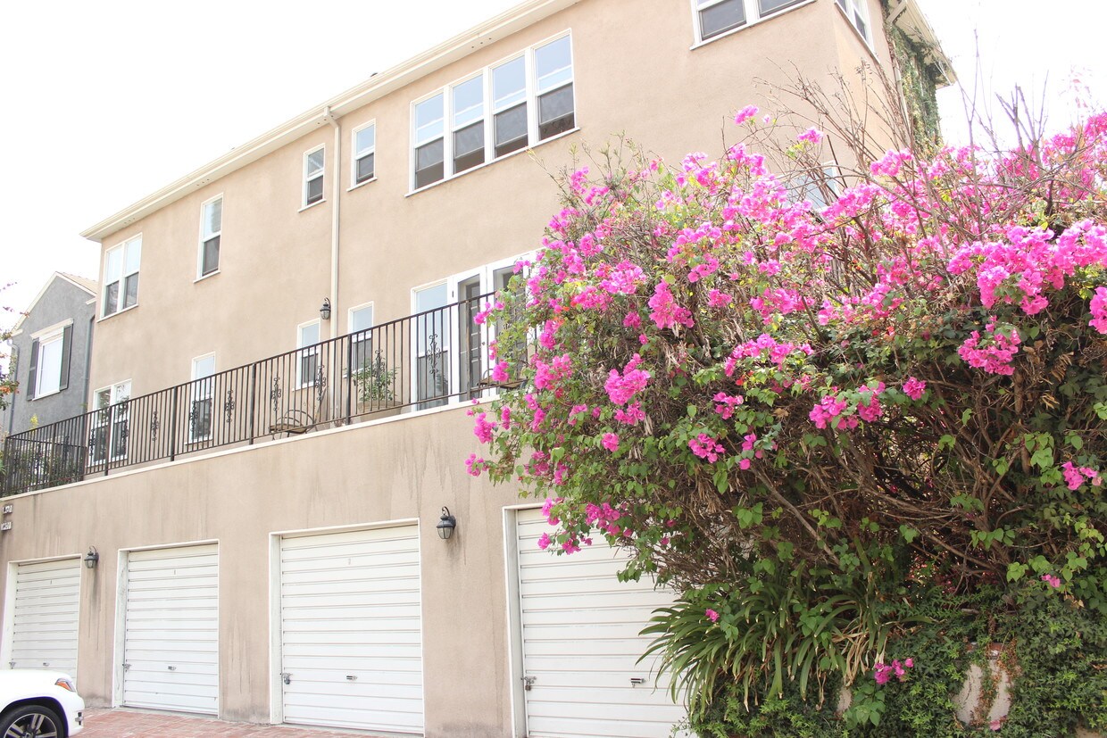 49 Apartments Available for Rent in Westwood, CA