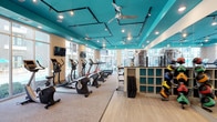 This fitness center is a thoughtfully designed workout facility that combines vibrant aesthetics with comprehensive equipment offerings. The space is immediately distinguished by its bold teal ceiling, which is fitted with sleek track lighting and a ceiling fan to ensure proper airflow and illumination throughout. Large floor-to-ceiling windows line the walls, flooding the interior with abundant natural light and providing open views of the surrounding exterior. The flooring features a combination of carpet and hardwood-style surfaces, clearly delineating cardio and functional training zones. A full row of cardio machines — including ellipticals, treadmills, and stationary bikes — is neatly arranged along the windowed wall, each positioned to take advantage of the bright, airy atmosphere. Wall-mounted flat-screen televisions are placed for convenient viewing during workouts. On the opposite side, a white shelving unit organizes medicine balls and fitness accessories, while additional equipment such as free weights and strength training machines are visible toward the rear. Exercise mats are also stored and accessible for floor-based workouts. The overall ambiance is energetic yet clean and organized, creating an inviting environment well-suited for a wide range of fitness routines.