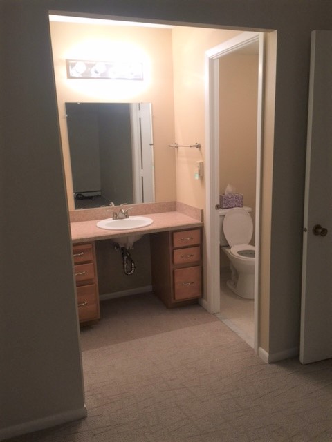 Vanity Area - 355 Solon Rd