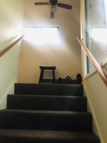 Building Photo - 306 Rutherglen Muse