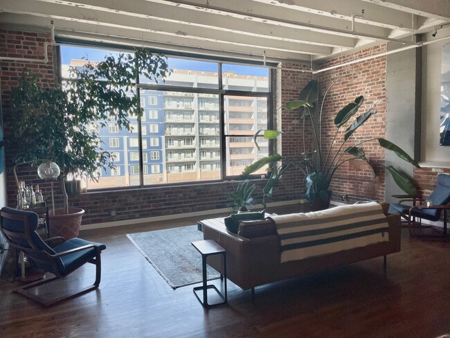 Living room view - 2000 Arapahoe St
