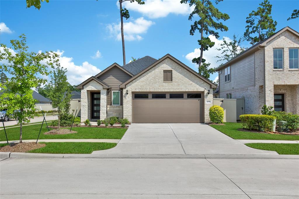 Primary Photo - 40391 Bay Warbler Wy