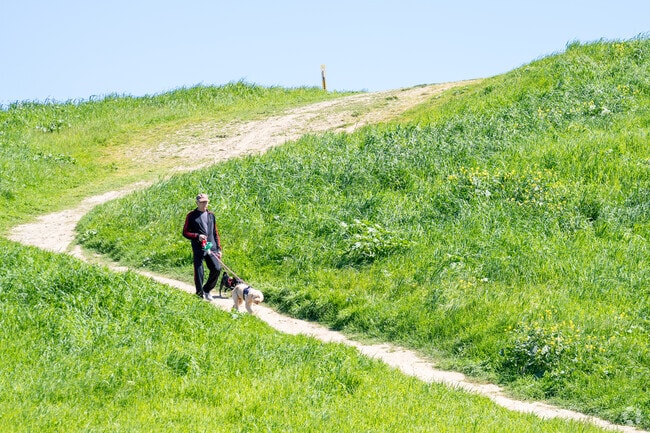 Bedwell Bayshore Park is a great place to spend the afternoon with your dog.