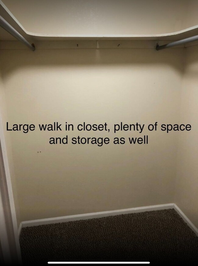 Walk in closet - 119 Walnut Dr