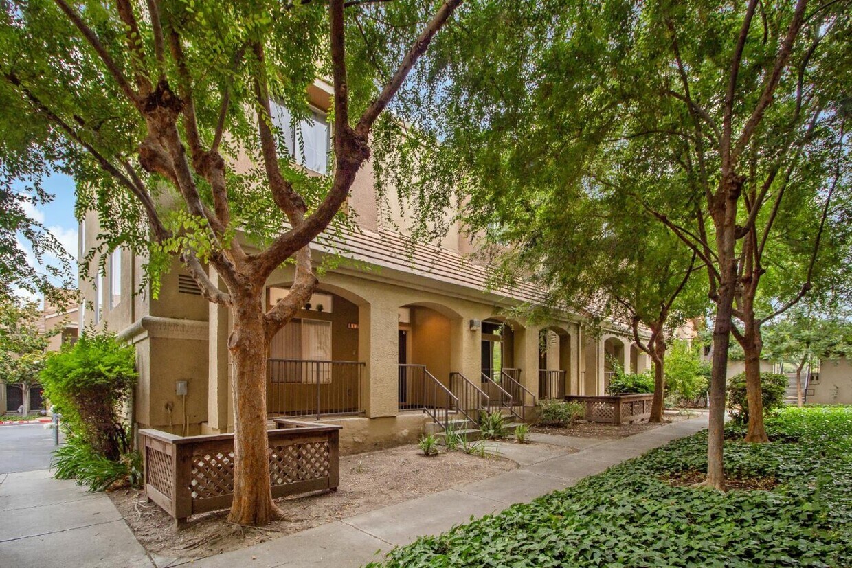 Primary Photo - 812 Star Jasmine Ct