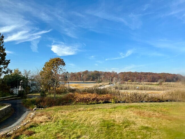 Foto del edificio - 125 Thimble Island Rd