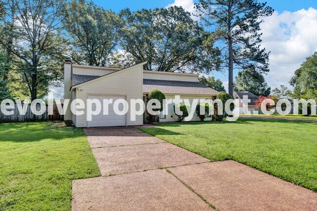 Foto del edificio - COLLIERVILLE HOME!!