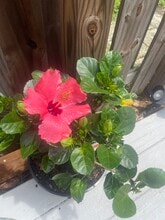 Building Photo - 3394 W Wyoming Cir