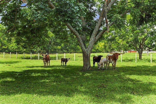 Foto del edificio - 4309 Bowser Rd