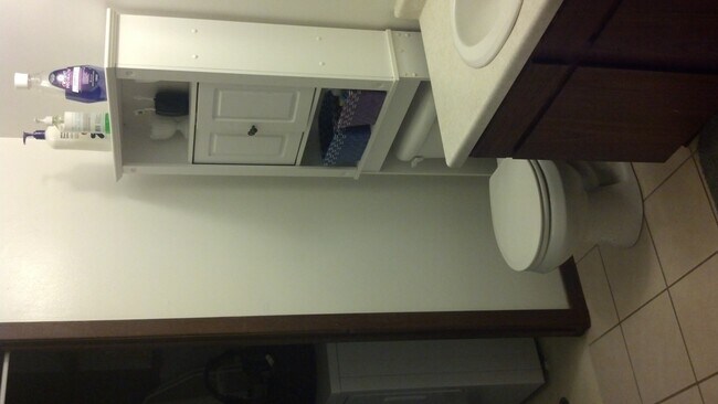 Baño - 1038 Terrace Dr