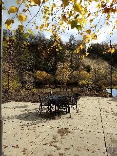 espacio abierto zona de laguna - 1409 Cypress Ln