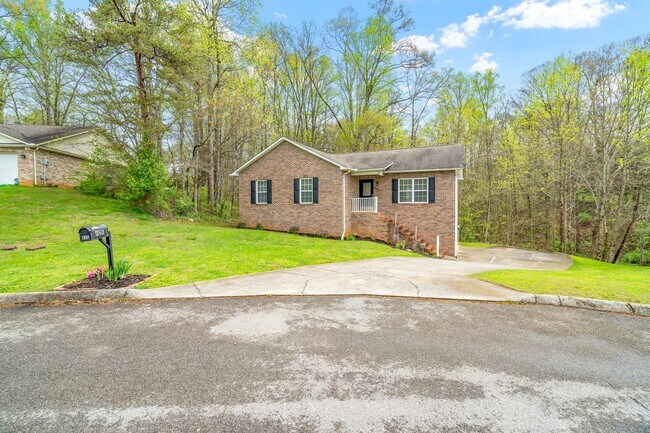Building Photo - 4 bedrooms! 3 baths! Incredible location! ...