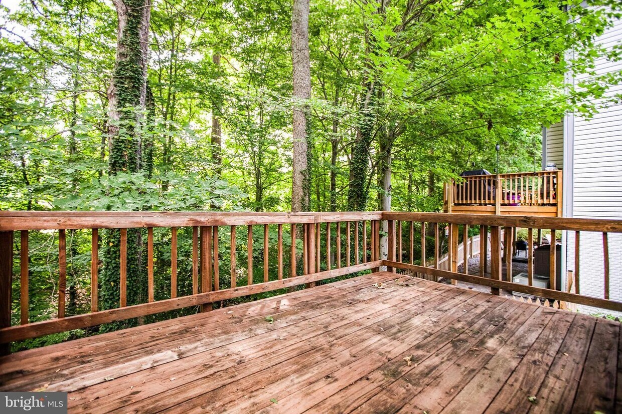 Foto principal - 11973 Holly View Dr