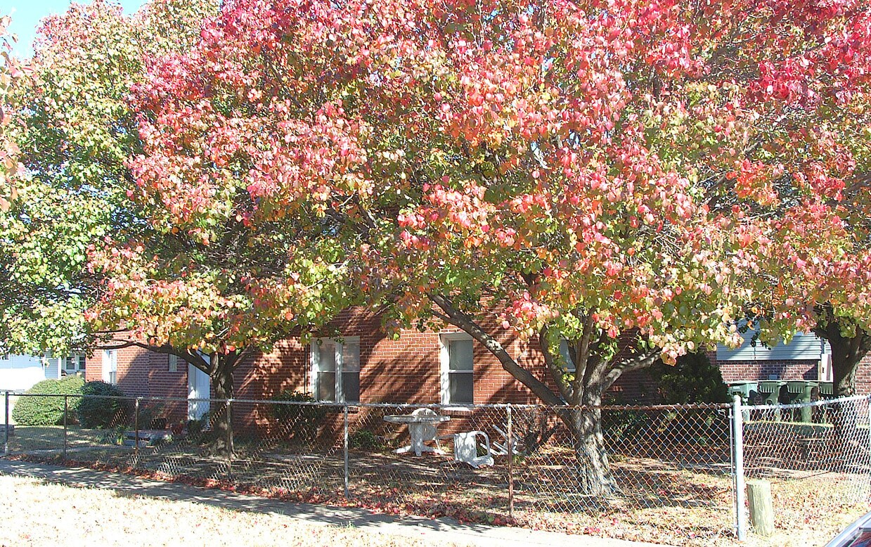 Building Photo - 1508 Chela Ave