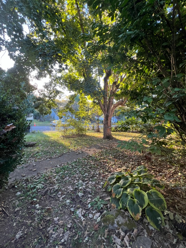 Photo - 2610 Flamingo Dr House