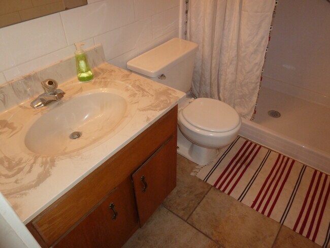 Bathroom - 11082 Thrush Ridge Rd