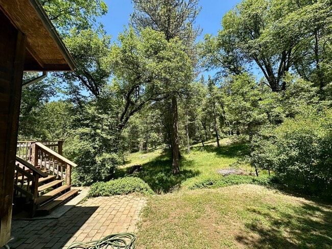Building Photo - 4 Bedroom 2.5 Bathroom Home on 2 Acres Clo...