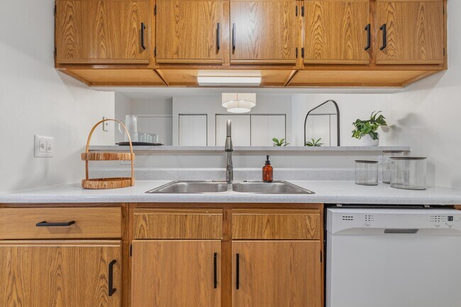Encimeras restauradas y grifo extraíble moderno - Cocina - Lakeview Apartments