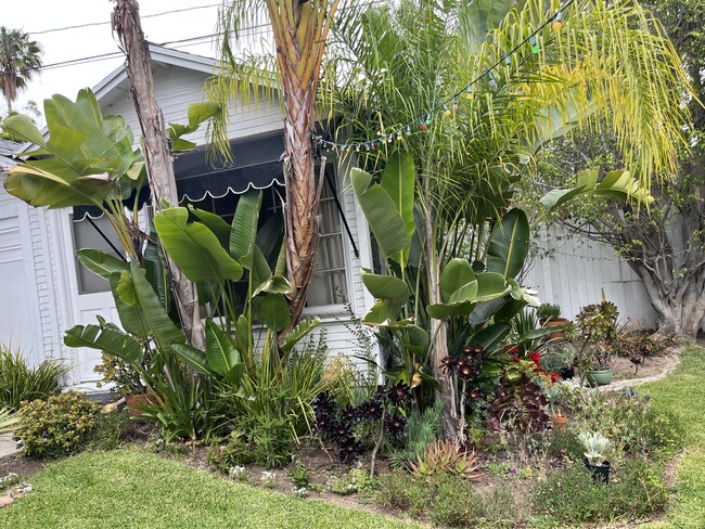 Very private. Quiet yard - 1608 N Vista St