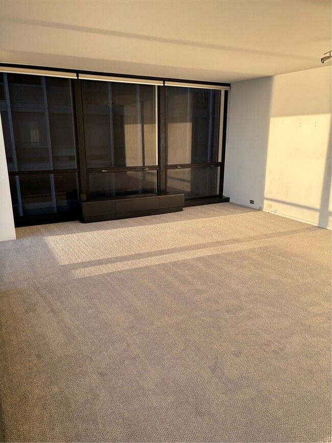 Foto del edificio - 910 N Lake Shore Dr