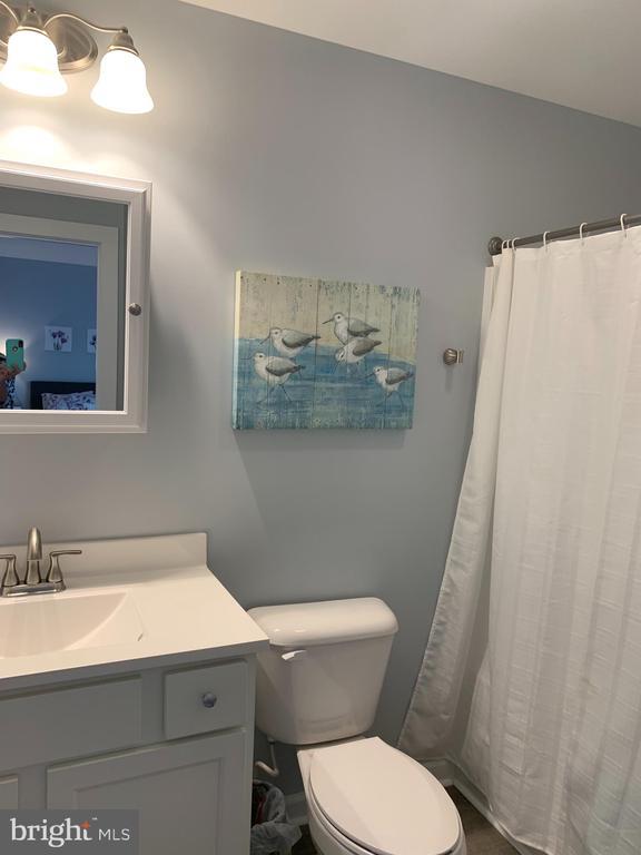 Foto del edificio - 405 Marshall Ave