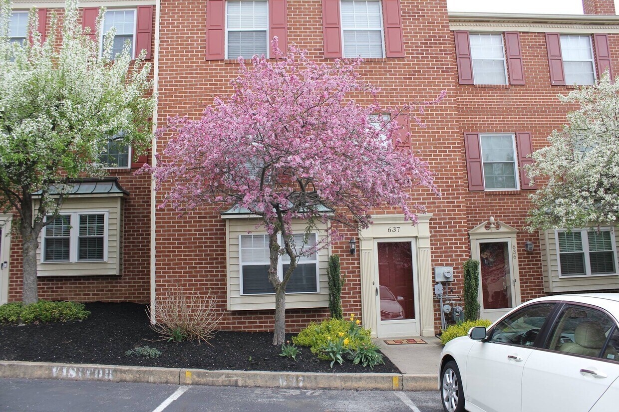 Primary Photo - 637 Coates Ln