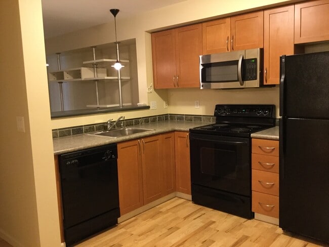 Building Photo - Beautiful Studio in Downtown Bellevue!